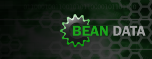 Bean Data - Computer, Network, Information Technology Services