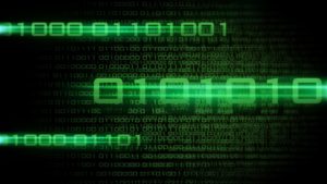 Bean Data - Computer, Network, Information Technology Services